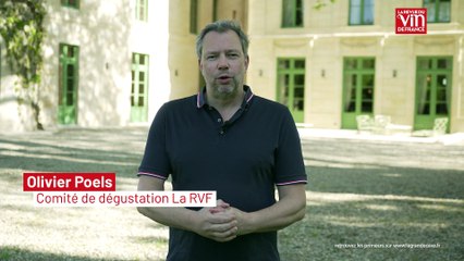 Primeurs de Bordeaux 2024 : les coups de coeur d'Olivier Poels dans le Médoc