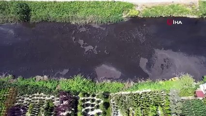 Yalova'da Dereağzı Mevkisinde Kanalizasyon Suyu Denize Aktı