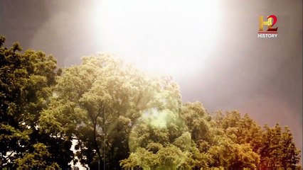 Las 3 profecías de la virgen de Fátima - EL EFECTO NOSTRADAMUS