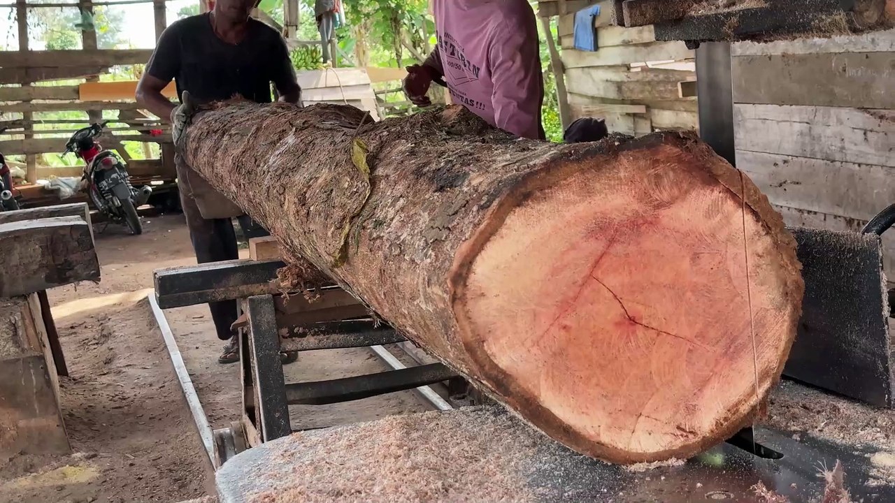 Cutting Wood 2x20 with a Sawmill Safe Steps