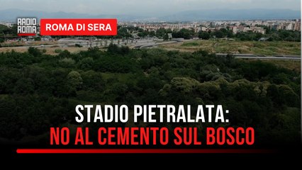 Pietralata, "No allo stadio!". La protesta dei cittadini che hanno fermato i camion per difendere il "bosco".