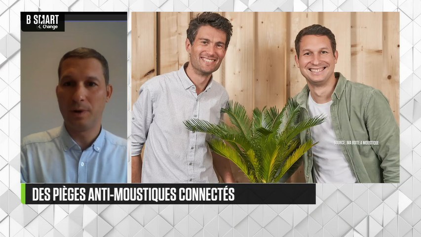 Moustiques, la contre-attaque connectée