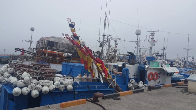 제주 서귀포 남서쪽 먼바다 침수 어선 선원 전원 구조 / YTN