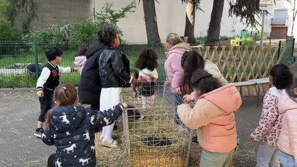 Quand la ferme se déplace à l’école