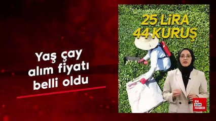 Yaş çay alım fiyatı belli oldu