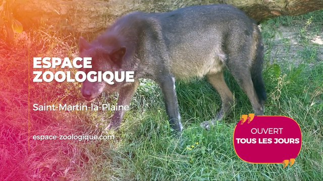 Agenda des Sorties : printemps 2025-1