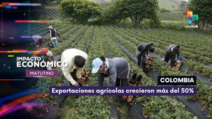 Industria pesquera aumentó exportaciones un 15% en Venezuela