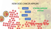 How does cancer appear?