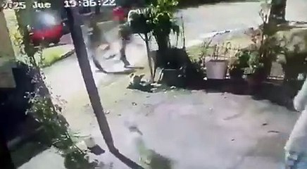 Graban cuando hombre golpea a otro