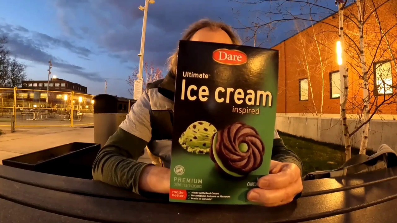 Dare Ultmate Ice Cream Mint Chocolate Cookies Review