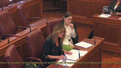 Roma -  Prodotti vitivinicoli (13.05.25)