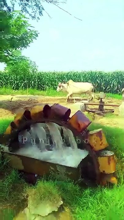 Butiyful old well Video