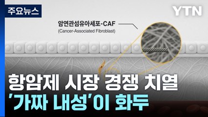 300조 원 규모 항암제 시장 경쟁 치열...가짜 내성이 화두 / YTN