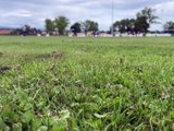CLUB 42 : À la rencontre du FC Marcellinois - Des communes de Loire Forez - TL7, Télévision loire 7