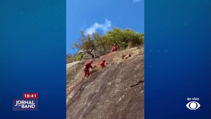 Bodes são resgatados em área de montanhas no Rio de Janeiro