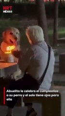 ¡El amor verdadero existe! 🐶💘 Una abuelita le celebró el cumpleaños a su perrito, pero él solo la miraba con amor y ni tocó la comida 😭🎂 #LomitoFeliz #AmorPerruno
