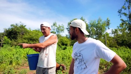 Frank Cuesta asegura que todos los animales del santuario "han sido comprados"