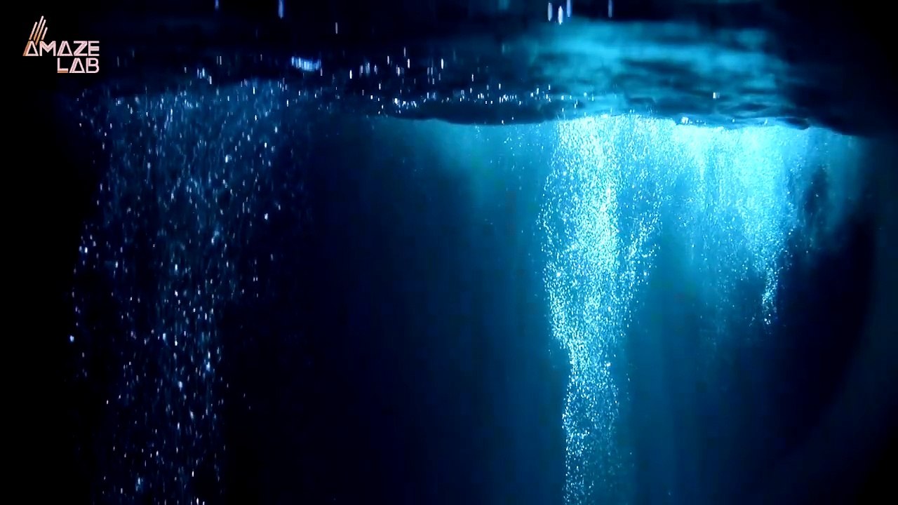 Watch Out For These Insane Great White Hunting Creatures Around South Africa