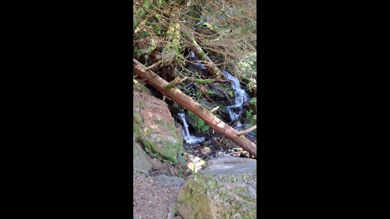 grande cascade mont-dore