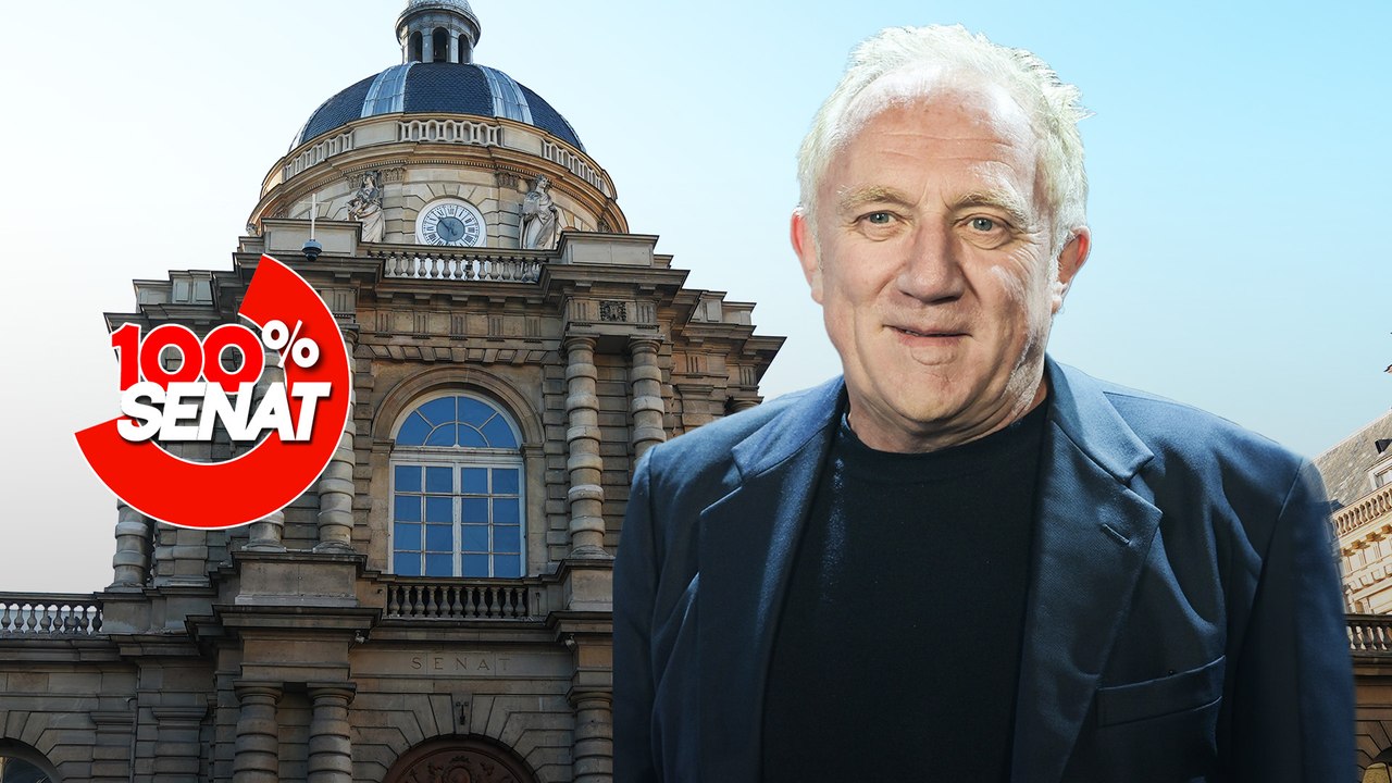 100% Sénat - Aides publiques aux entreprises : audition de François-Henri Pinault