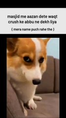 Rishta pakka 😁✨💌