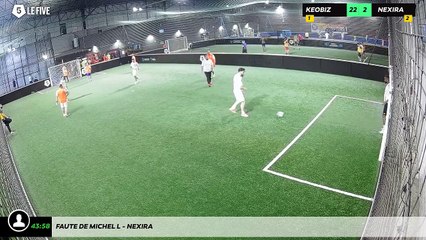 Faute de Michel L - Nexira