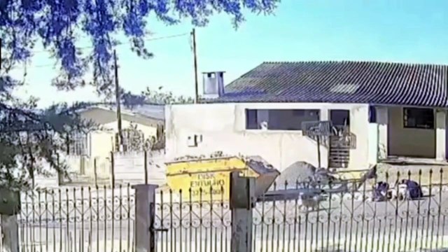 Vídeo mostra caminhão de lixo atropelando e homem jogando cadela em Ponta Grossa