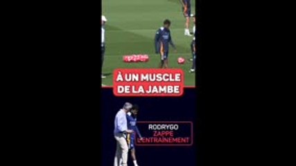 Real Madrid - Ancelotti : "Rodrygo ? Il a eu de la fièvre"