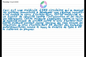 Un vaccin hypothétique pour le virus d’Epstein-Barr