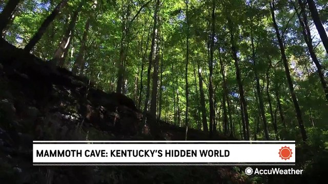 Hidden gems, scenic stays: parks worth the trip