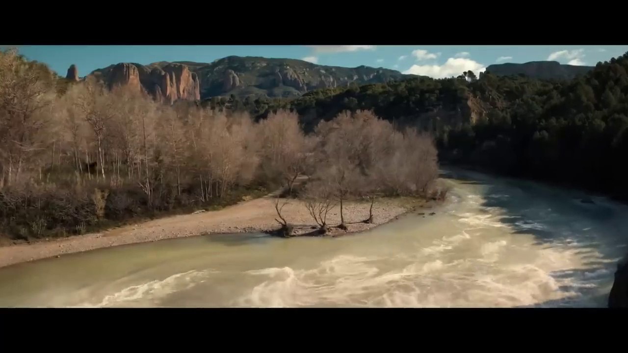 Venom: The Last Dance (2024) - EPIC River Fight Scene