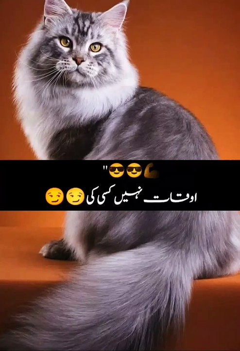 This is funny 🤣
