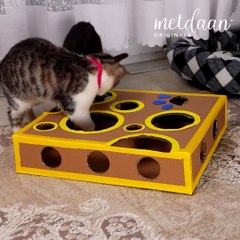 DIY toys your cats will love 😻