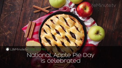 Janet Jackson to Receive American Music Awards' 2025 ICON Award, Bindi Irwin Shares Health Update Following Absence from Steve Irwin Gala, National Apple Pie Day is Celebrated