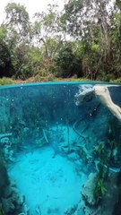 The Silent World Below: Unspeakable Ocean Beauty