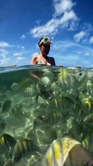 Adventure Beneath the Waves: A Hidden Paradise in the Sea