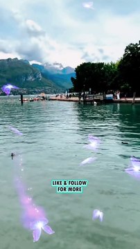 T'es magnifique comme tu es #BR3 #motivation #inspiration #success #Réussite