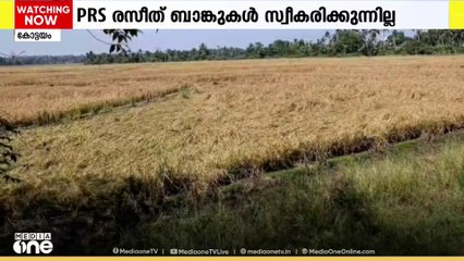നെല്ല് സംഭരിക്കുന്നതിന് പകരംനൽകിയ PRS രസീത് ബാങ്കുകൾ സ്വീകരിക്കുന്നില്ല; കടക്കെണിയിലായി കർഷകർ