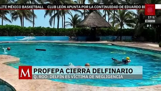Profepa clausura Dolphinaris Barceló por maltrato a delfín | Milenio Hábitat
