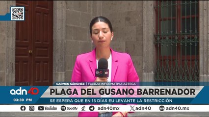EE.UU. restringe por 15 días el ingreso de ganado desde Mexico por plaga del gusano barrenador