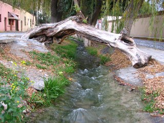 Descubre la historia detrás de la acequia que atraviesa Arteaga, Coahuila