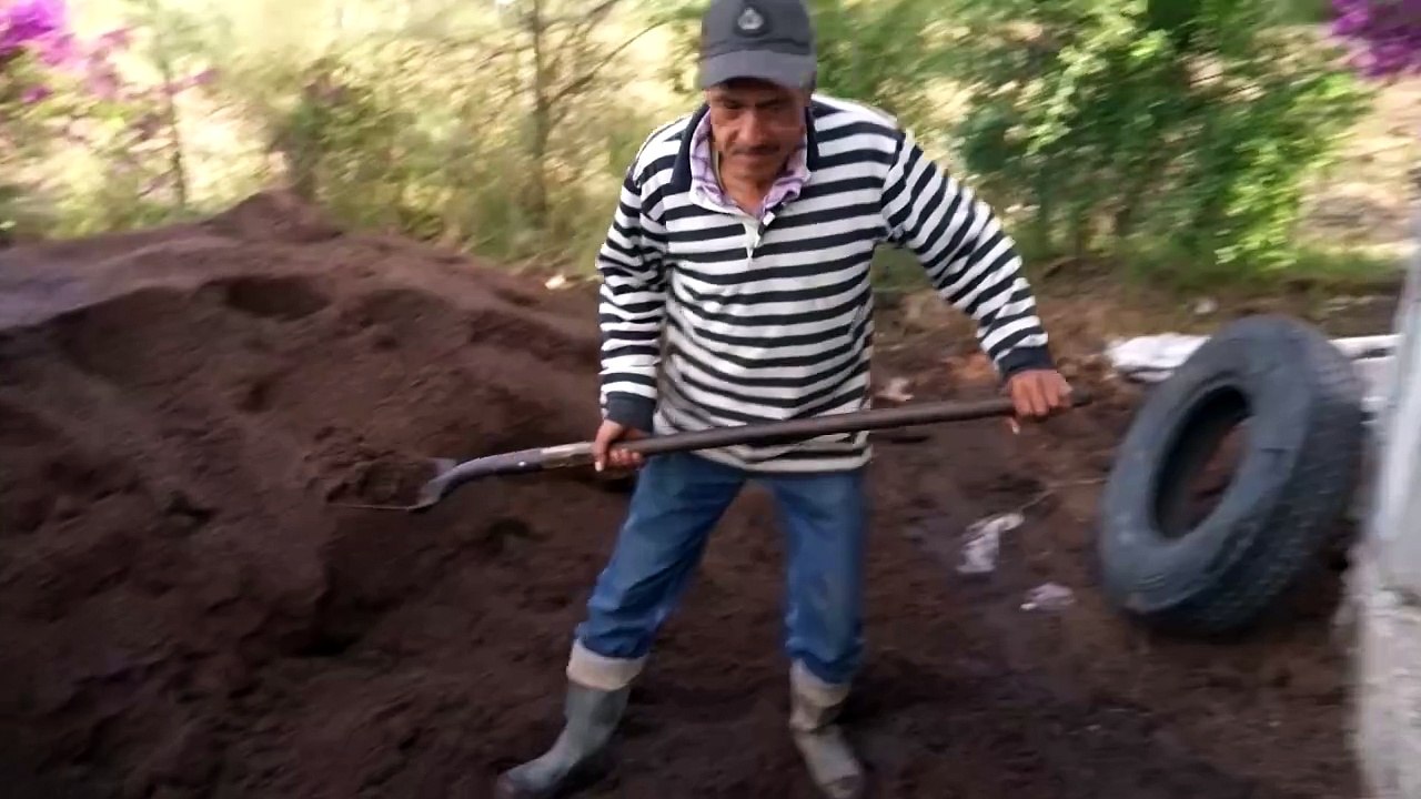 Tunisian company transforms olive waste into eco-friendly fuel