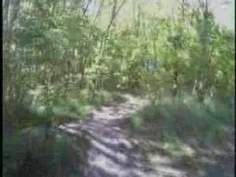 Raismes La forestiere