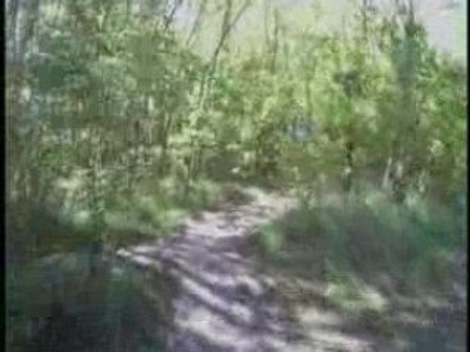 Raismes La forestiere