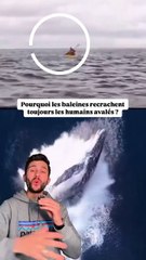 Pourquoi tu ne te feras jamais avaler par une baleine