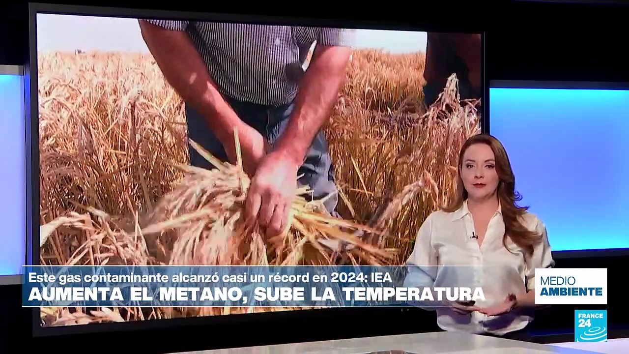 El metano de los combustibles fósiles casi supera el récord en 2024