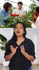 MSc in Sustainable Development, Agri-Food and Co-operatives