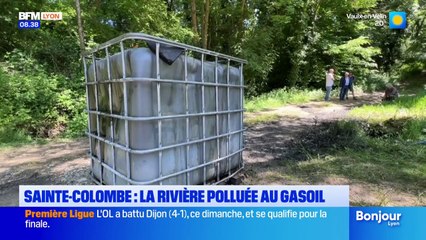 "De la colère et de la tristesse": une rivière polluée au gasoil à Sainte-Colombe
