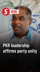 PKR to Stay United Regardless of Upcoming Party Polls, Assures Ramanan