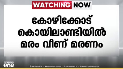 കോഴിക്കോട് കൊയിലാണ്ടിയിൽ മരംവീണ് ഒരാൾ മരിച്ചു; അപകടം പന മുറിക്കുന്നതിനിടെ
